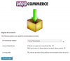 woocommerce-digital-downloadable 1.png
